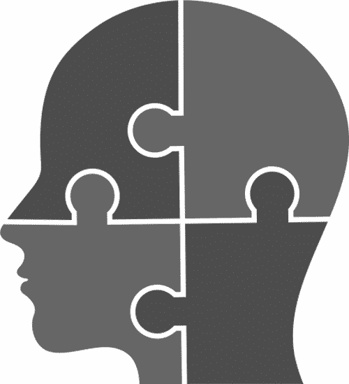 personality-head-resized personality puzzle head